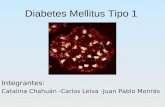 04 Disert. Diabetes Mellitus Tipo I
