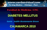 Diabetes mellitus 2010