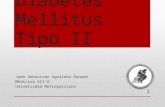 Diabetes Mellitus Tipo II y Complicaciones Agudas