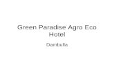 Green Paradise Agro Eco Hotel