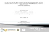 Presentacion estudio factibilidad_grupo_92_final 2