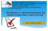 Tecnicas e instrumentos de investigacion cualitativa.
