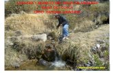 Cultura y manejo del agua en andenes del Valle del Colca: Caso Yanque Urinsaya