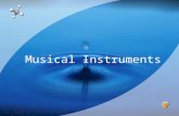 Presentacion acustica musical
