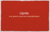 Lipids 1r batx