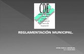 04 reglamentacion municipal
