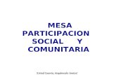 Mesa  participacion social y comunitaria 2010