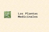 15242434 las-plantas-medicinales