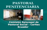Pastoral penitenciaria resumen_2011