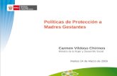 Carmen Vildoso - Políticas de Protección a Madres Gestantes