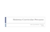 Presentación general Sistema Curricular Peruano 2014