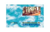 Instalaciones de Gas Natural
