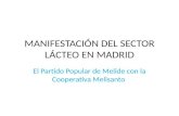 ManifestacióN Del Sector Lacteo En Madrid