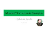 Mendel y la herencia biológica