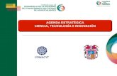 Presentación CONACyT AGENDA ESTRATÉGICA  CIENCIA, TECNOLOGÍA E INNOVACIÓN