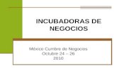 Presentacion incubadora de empresas mexico numbre de negocios 2 (3)