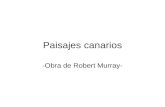 Canary Islands Landscapes by Robert Murray