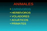 Presentación Animales.