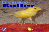 31. el canario roller