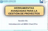 Herramientas Avanzadas para la Gestión de Proyectos - Introducción al WBS Chart Pro
