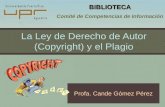 Ley de Derecho de Autor (Copyright) y el Plagio