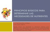 Principios básicos para determinar las necesidades de nutrientes (presentación)