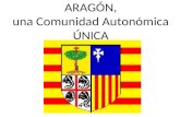 Aragon Comunidad Autonoma unica