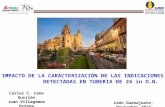 Sesión técnica, sala Tuzandépetl, Impacto de la caracterización de las indicaciones detectadas en tubería de 24 in DN