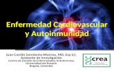 Enfermedad Cardiovascular en Enfermedades Autoinmunes