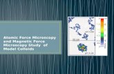 Microscopía de Fuerza Atómica y Microscopía de Fuerza Magnética