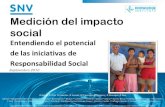 Medición del impacto social espae 2010