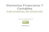 Curso Bbsc  Elementos Financieros Y Contables