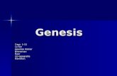 Genesis Varios 1 11 3 Q08
