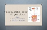 11. fisiología aparato digestivo