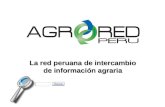 Presentación Preliminar - AgroREDPerú