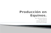 Producción en equinos