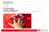 Primer informe observatori Creu Roja