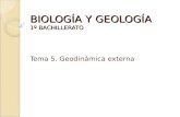 Biología y geología tema 5. geodinámica externa