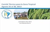 Comité Técnico para la Zona Tropical, agosto 26 al 30 de 2013: Actividades 2012-2013