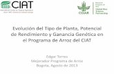 Evolución del Tipo de Planta, Potencial de Rendimiento y Ganancia Genética en el Programa de Arroz del CIAT, por Edgar Torres