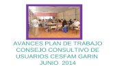 Evaluacion avances  plan  trabajo  consultivo cesfam garin  junio 2014