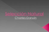 Charles darwin y seleccion natural