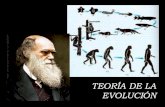 TEORÍA DE LA EVOLUCIÓN