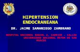 1 hipertension endocraneana[1]