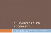 Clase de pancreas - ecografia