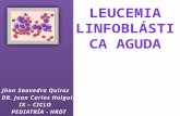 Dr panchito leucemia linfoblastica aguda   hrdt