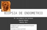 Biopsia de endometrio
