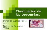 clasificacion FAB de leucemias