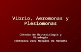 Vibrio Aeromonas
