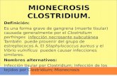 Mionecrosis Clostridium